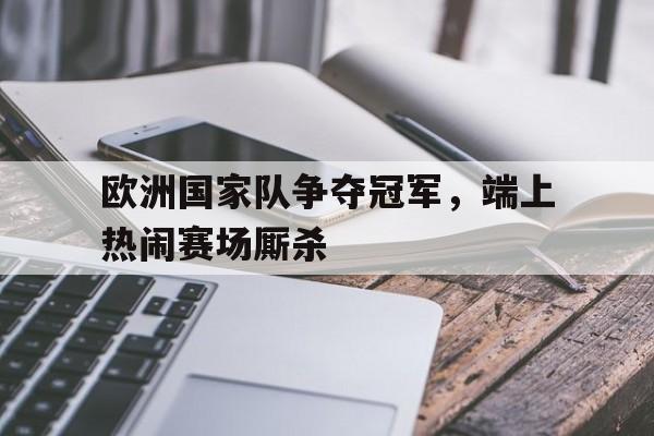 欧洲国家队争夺冠军，端上热闹赛场厮杀